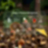 Diagram showing stages of disaster risk management including assessment, mitigation, preparedness, response, and recovery