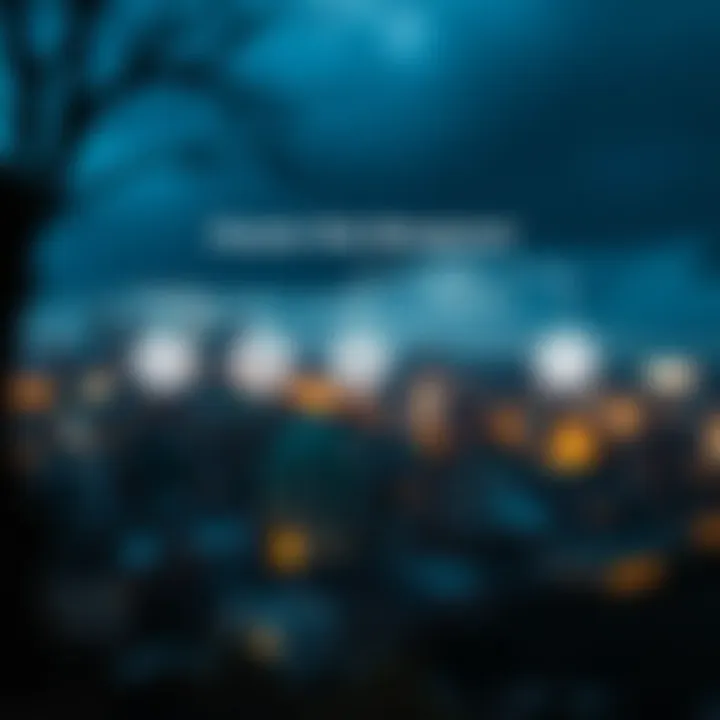 Diagram illustrating the phases of disaster risk management including prevention, preparedness, response, and recovery