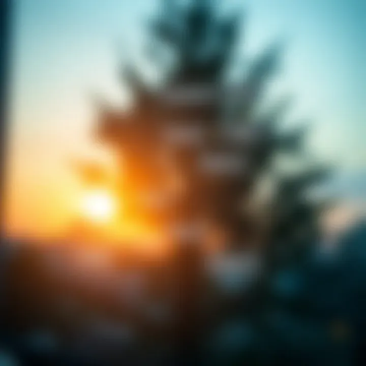 Flowchart illustrating risk identification, evaluation, and mitigation steps within an organizational system